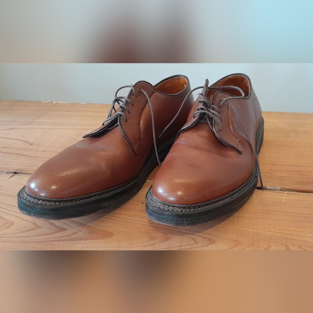 Alden 947 all weather walker 9c/e